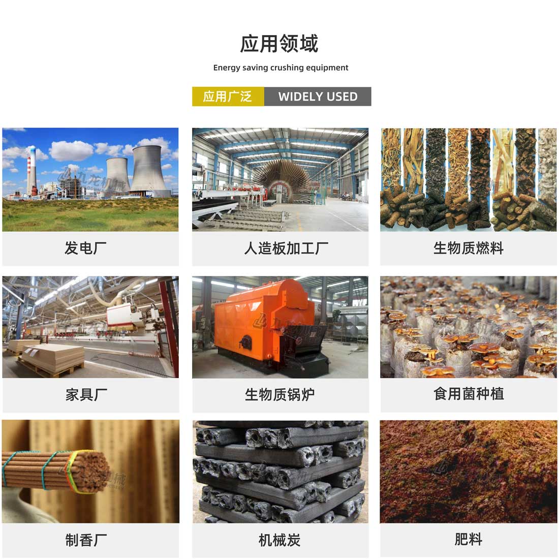 木材撕乐动在线登录官网-乐动（中国）应用领域
